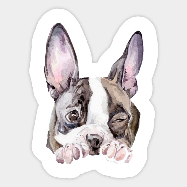 Boston Terrier Puppy Sticker by wanderinglaur